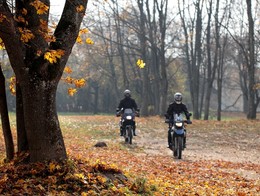 осенний марафон / осень, сорваться и полететь...