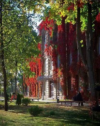 Осенний марафон / Осень в Гродно. Снято на мобильный телефон.