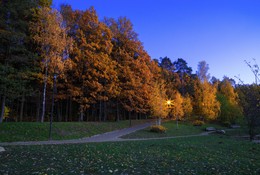 Вечер в лесопарке / Минский лесопарк, октябрь 2015