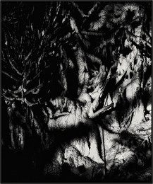 Пляски теней / По мотивам - "Книга вымышленных существ" - книга, написанная Хорхе Луисом Борхесом в 1954 году в содружестве с Марией Герреро.
Это снег, ложбина и тени от деревьев и кустов, была солнечная погода ... люблю рассматривать этот снимок и крутить его))
https://yadi.sk/d/RBJa4Nivk7kkd