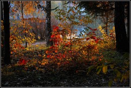 Осенний этюд / осень, вечер