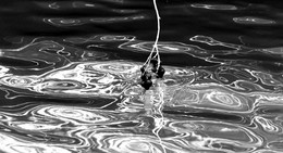 Зимние прелюдии... / Зенитар