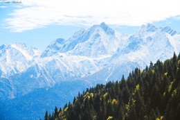 Большой Кавказ / Грузия