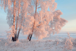 Зимнее утро / Родные просторы, Восточная Сибирь