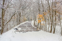 Недосказанность / осень