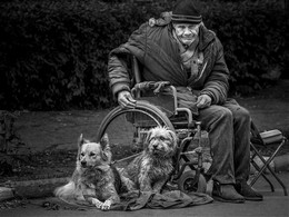втроем / на улице старик с собаками просит милостыню
