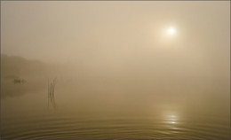 Туманный минимализм / Утро, туман, Сылва
