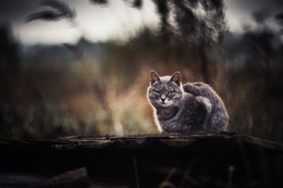  / Сентябрь, 2015