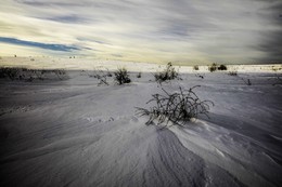 У природы нет плохой погоды / Another planet ( Другая планета)