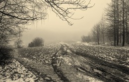 Дороги / осень дороги туман