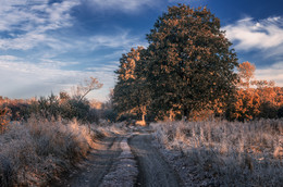 Морозной тропой. / Начало ноября, первые утренние морозы, почти мирный Донецк

http://www.youtube.com/watch?v=wygy721nzRc