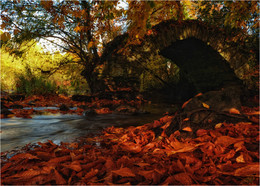 ...Donaghmore bridge... / ***