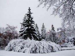 Зимняя сказка / Зимняя сказка