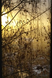 Утро туманное / Вид из моего окна