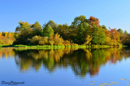 Отражение Осени / Осень на реке Березина