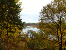 Осенний Сож / Река Сож (Беларусь, Гомельская область), конец октября....