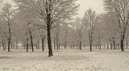 снегопад / парк, первый снег, неуютно