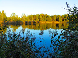А на том берегу....осень / На одном из лесных озер