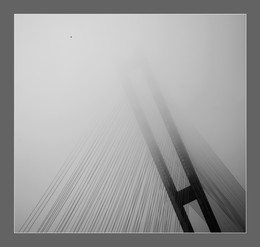 Equilibrium / Мост, туман, птица