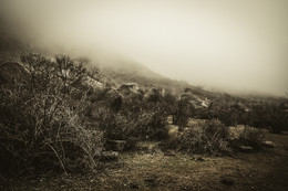 Misty weather / Демерджи, фото сделано в горах, в январе во время прогулки, ближе к вечеру.