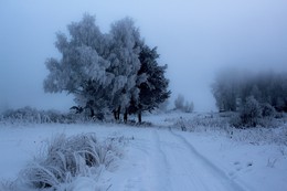 &nbsp; / Железногорск, Красноярский край, берег р.Енисей