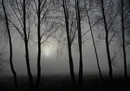 Октябрь / Холодный утренний туман окутал всё