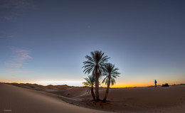 Гори, гори, моя звезда... / Марокканская Сахара. В ожидании восхода.