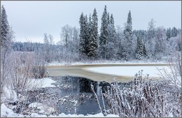 Вдали от шума городского / Ноябрь в архангельских лесах.