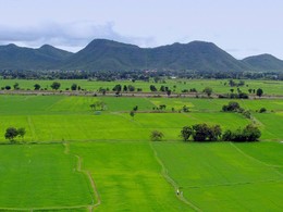 Рисовые поля / В долине реки Квай на севере Тайланда благоприятные условия возделывания риса.