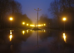 Вечерняя аллея / Аллея Реадовского парка в Смоленске в сумерках