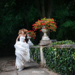 Wedding shot / ***
