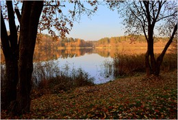 прогулка по осеннему берегу / ***