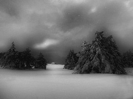 &nbsp; / из серии &quot;Там, где бродят сказки&quot; )