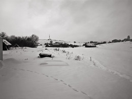 Перекати-поле / зима в деревне
