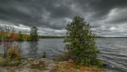 Moriss Isl. / Moriss Isl.

Transparent Autumn