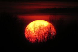 Огненный закат / Закат . Снят в конце февраля, когда в нашей широте солнце заходит огромным шаром. Съёмка с насыпи сквозь кустарник (расстояние 150-200 метров) . Без обработки.