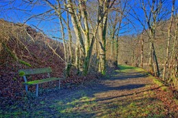 Sitzbank am Wanderweg / Sitzbank vermoost am Wanderweg der an der Aare entlang führt. Aufnahme in Mühleberg BE.