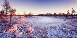 Зефирные болота / Зимний вечер на болоте Кемери, Латвия.