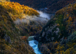 Остаток тумана. / Абхазия. Река Бзып. Ноябрь, 2015.