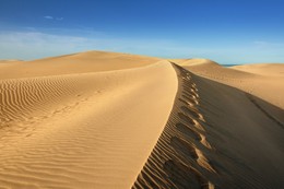 Die Dünen von Maspalomas am Morgen (Gran Canaria) / Wunderbares Naturschauspiel in Gran Canaria, die Dunas de Maspalomas.