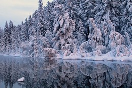 зимние зеркала / декабрьская река