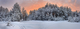 Краски зимы / Зимний закатный пейзаж на берегу пруда в таёжных лесах Верхнекамья.