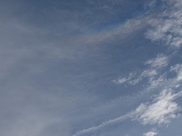 Предновогодняя радуга / В воскресенье 27 декабря в Минске выдался редкий солнечный день и похолодало. До этого было до +11 и пасмурно. Гуляли в Лошицком парке и одновременно увидели в небе радугу и улетающих птиц. Кадр снят вдогонку.