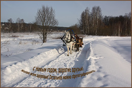 С Новым годом! / Дорогие друзья! Желаю всем в наступающем году мира, добра и удачных кадров!