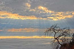 Nebel vs. Wolken / Herrliches Schauspiel heute Sonntag über dem Bielersee um ca. 14:00 Uhr. Das Foto entstand auf der Terrasse in Magglingen. Unten dei Nebeldecke über dem Bielersee bis nach Neuchatel und oben die hereinbrechenden Wolken mit der kämpfenden Sonne. So eine Stimmung erlebt man nicht jeden Tag.