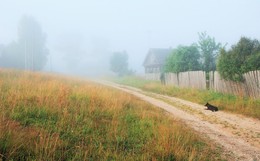 Деревня дремала в туманной тишине ... / Утро в деревне ...