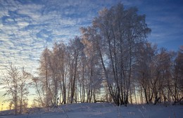 Все покрыто инеем, абсолютно все! / ***