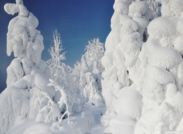 Зимушка / зима на севере,Республика Коми