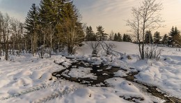 Журчит ручей в студеную пору... / январь холодный месяц на Вологодчине...