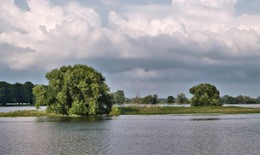 Landschaft an der Oder / ***